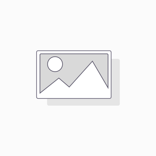 Chemical Anchor Resin 300ml + Nozzles